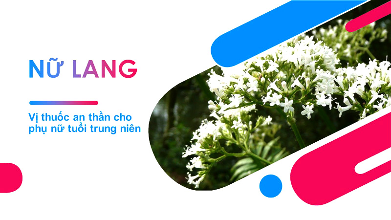 sinh lí nữ, cân bằng nội tiết tố